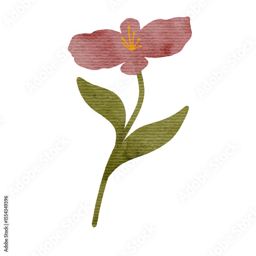 Watercolor Flower Illustration