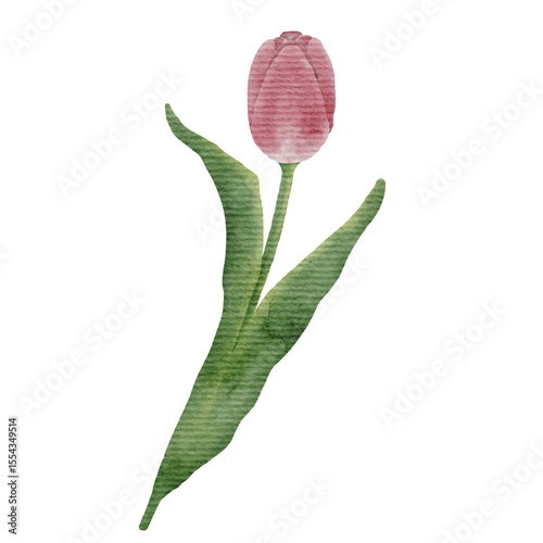 Watercolor Flower Illustration