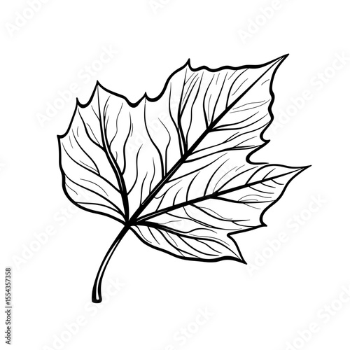 Autumn leaves icons in black and white, hand-drawn style for seasonal use