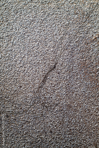 A detailed close-up reveals a rough, granular texture across a weathered surface, bisected by a prominent, organic crack, creating an intriguing abstract background.