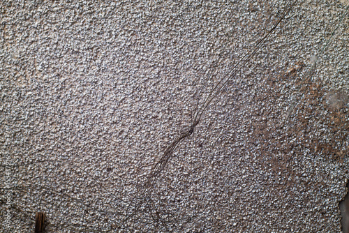 A detailed close-up reveals a rough, granular texture across a weathered surface, bisected by a prominent, organic crack, creating an intriguing abstract background.