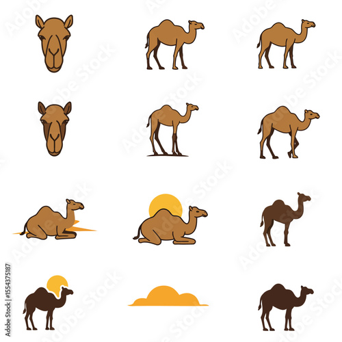 Assortment of camel illustrations in varying poses and shades of brown