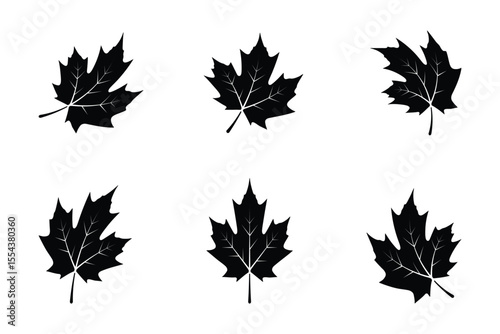 Collection of Black Maple Leaf Illustrations on Transparent Background for Designs