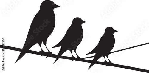 Birds on Wire Silhouette vector
