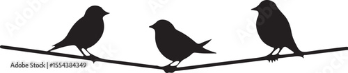 Birds on Wire Silhouette vector