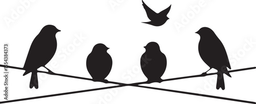 Birds on Wire Silhouette vector