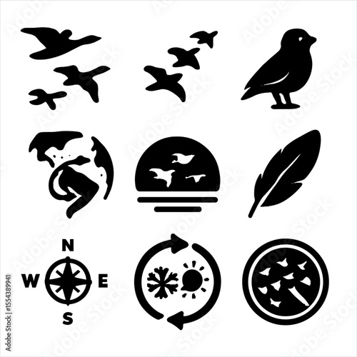 Bird Migration Icons. Solid, filled icons set of bird migration patterns: flying geese, V-formation, bird