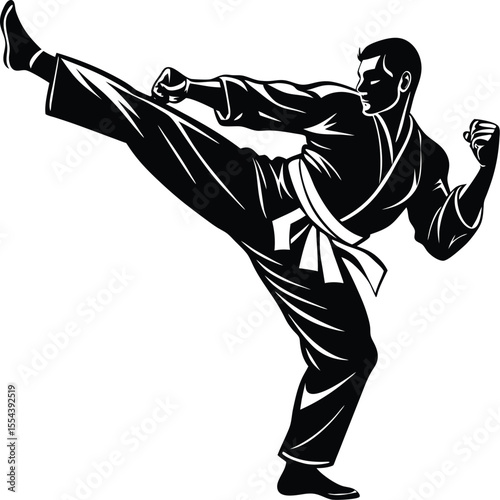 Silhouette of a Karate Fighter Kicking