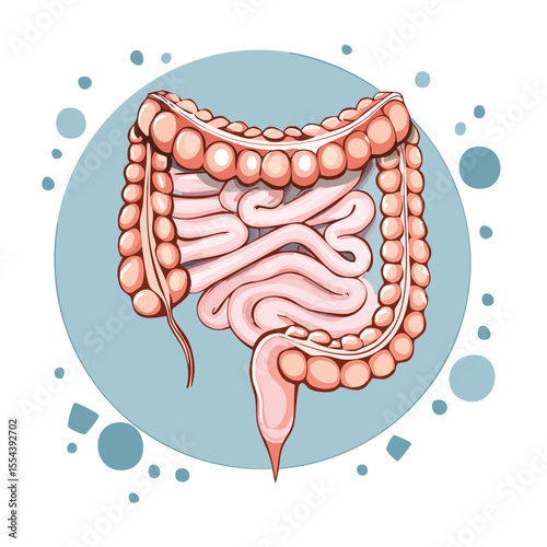 Vector Illustration of Human Intestine with Bold Black Outlines and Flat Colors in Modern Graphic Style