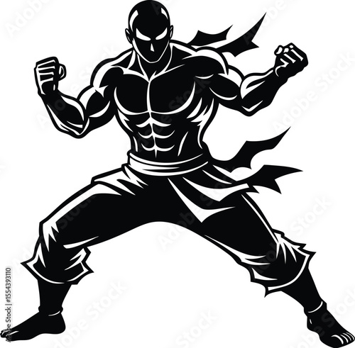 Silhouette of a Martial Artist in Stance