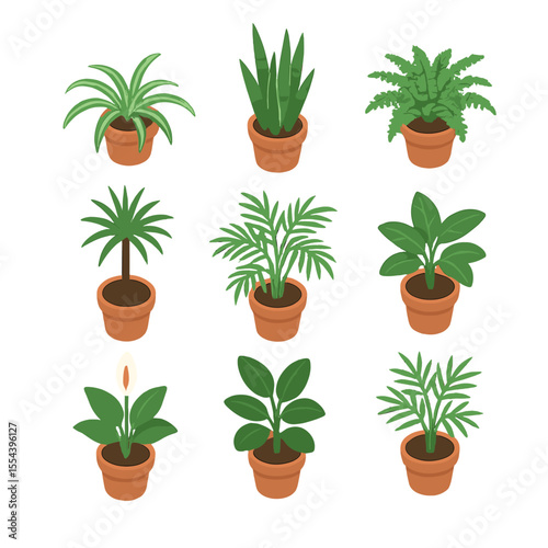 Air-Purifying Plants Icons. Isometric Flat icon set of air-purifying houseplants: spider plant, snake plant, Boston fern, Dracaena