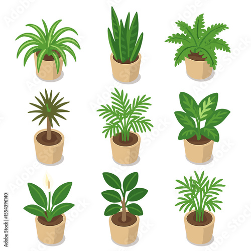 Air-Purifying Plants Icons. Isometric Flat icon set of air-purifying houseplants: spider plant, snake plant, Boston fern, Dracaena