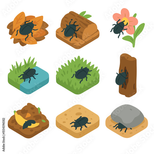 Beetle Habitat Icons. Isometric Flat icon set of beetle habitats: forest leaf litter, decaying log, flower blossom, riverbank,