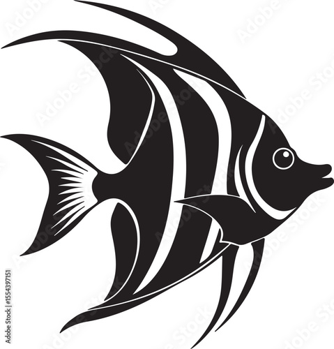 angelfish silhouette, black and white silhouette, vector and illustration