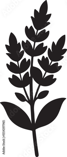 heather flower silhouette, black and white silhouette, vector and illustration