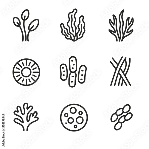 Algae Icons Collection. Outline icon set of algae types: green algae, brown algae, red algae, diatom, cyanobacteria cluster,