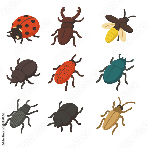 Colorful Beetle Icons. Isometric Flat icon set of beetle species: ladybug, stag beetle, rhinoceros beetle, firefly, weevil, scarab