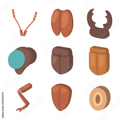 Beetle Anatomy Icons. Isometric Flat icon set of beetle anatomy features: antenna, elytra shell, mandibles, compound eye, thorax