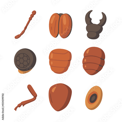 Beetle Anatomy Icons. Isometric Flat icon set of beetle anatomy features: antenna, elytra shell, mandibles, compound eye, thorax