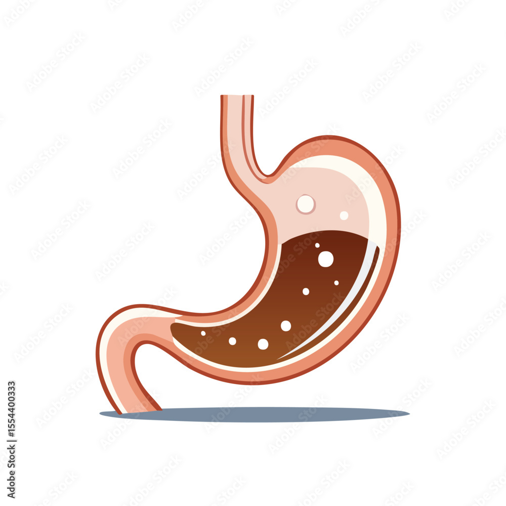 Simple Vector Stomach Thick Line Illustration in Modern Minimal Logo Style Clean Design Simple Vector Stomach Thick Line Illustration in Modern Minimal Logo Style Clean Design