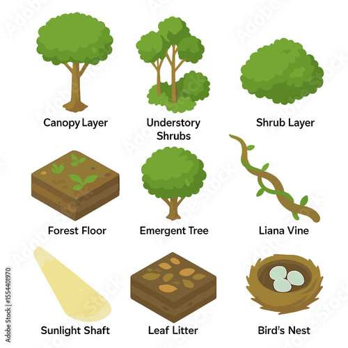 Forest Layers Icon Grid. Isometric Flat icon set of forest layers and structure: canopy layer, understory shrubs, shrub layer,