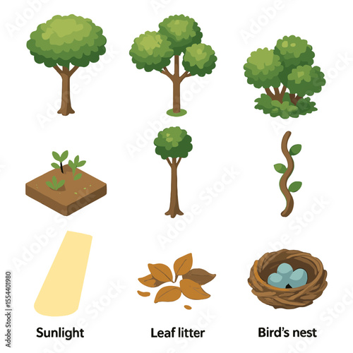 Forest Layers Icon Grid. Isometric Flat icon set of forest layers and structure: canopy layer, understory shrubs, shrub layer,
