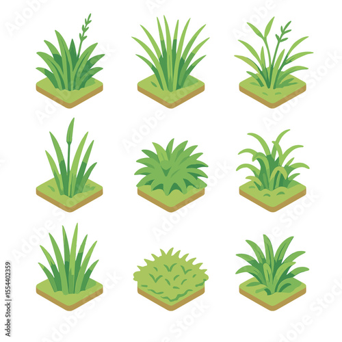 Grass Species Icons. Isometric Flat icon set of grass species variety: Kentucky bluegrass, fescue bunchgrass, Bermuda grass,