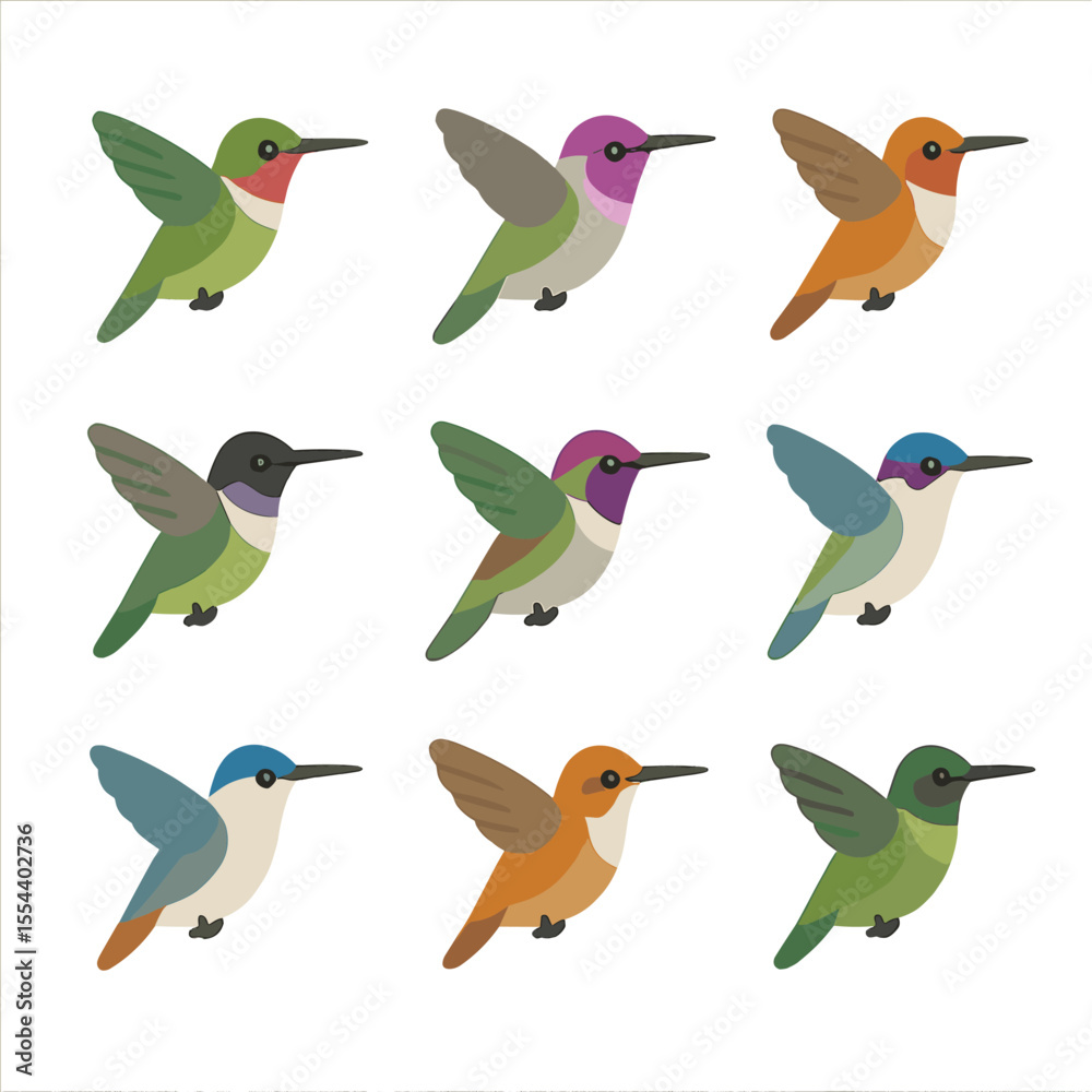 Fototapeta premium Hummingbird Icon Set. Isometric Flat icon set of hummingbird species variations: ruby-throated hummingbird, Anna’s hummingbird,
