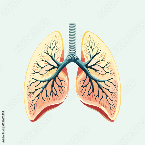 Vector Illustration of a Lung with Bold Black Outlines and Flat Colors – Modern Graphic Style Depicting Human Respiratory System in Clean and Minimalist Design
