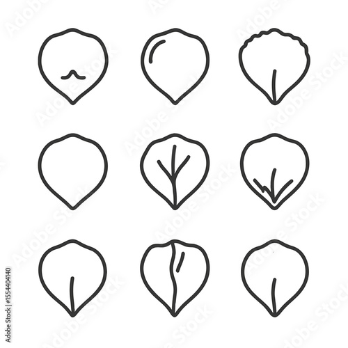 Petal Texture Icons. Outline icon set of Petal Textures and Surfaces: velvety surface, waxy sheen, ruffled edge, smooth margin,