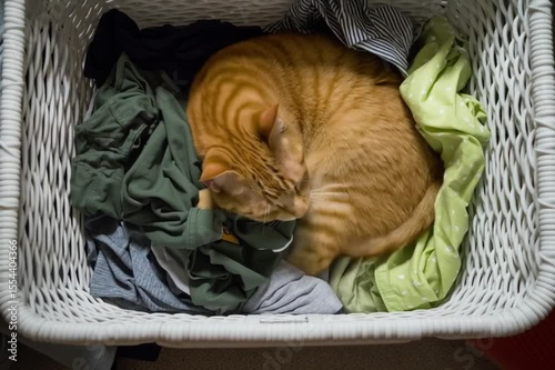 A cozy ginger cat curled up in a laundry basket filled with colorful clothes.