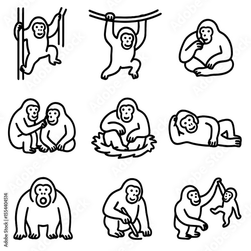 Orangutan Behavior Icons. Outline icon set of orangutan behavior: climbing, swinging, feeding, grooming, nesting, resting,