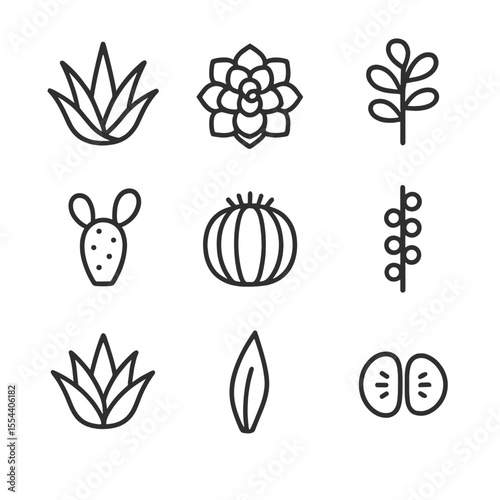 Succulent and Cactus Icons. Outline icon set of succulent and cactus designs: aloe vera, echeveria rosette, jade plant, bunny ear