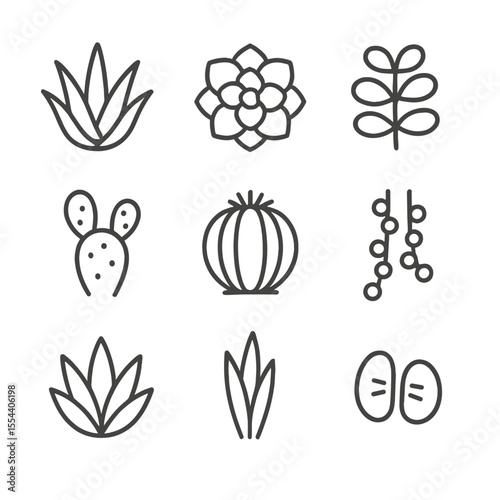 Succulent and Cactus Icons. Outline icon set of succulent and cactus designs: aloe vera, echeveria rosette, jade plant, bunny ear