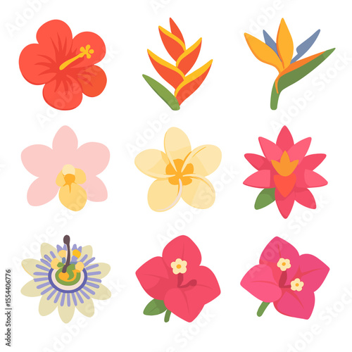 Tropical Flower Icon Set. Isometric Flat icon set of tropical wildflowers: hibiscus flower, heliconia bract, bird of paradise