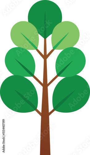Eucalyptus Tree: Aromatic Nature

