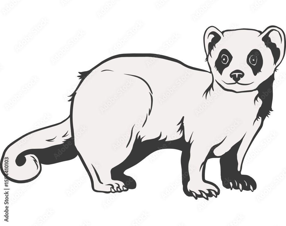 Fototapeta premium Illustration of an Ermine