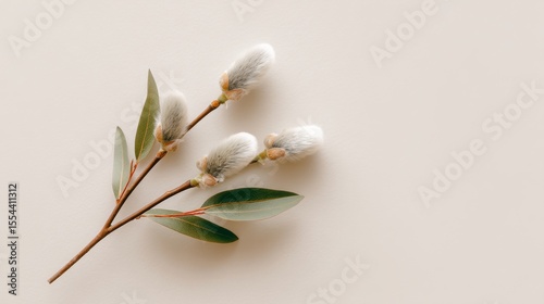 Tiny white flowers on delicate branches are dispersed across a light beige surface, resulting in a minimal, natural, and serene composition