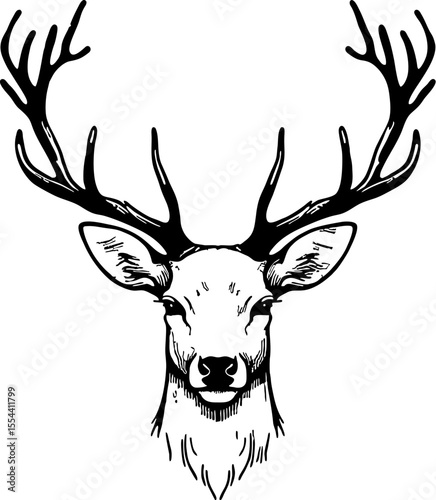 beautiful art of deer