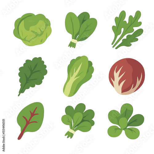 Fresh Salad Greens Icons. Isometric Flat icon set of fresh salad greens: lettuce head, spinach bunch, arugula leaves, kale leaf,