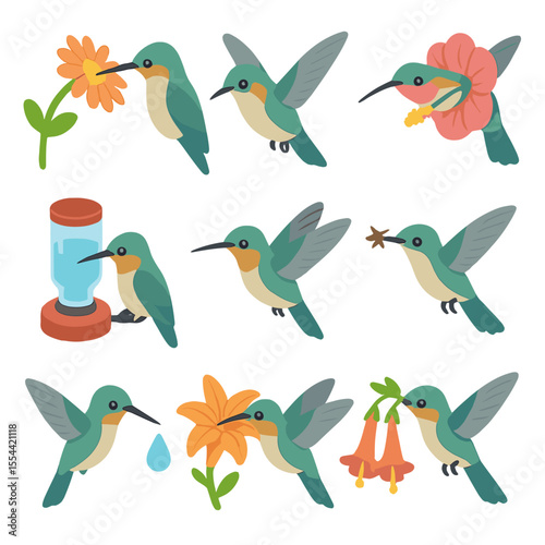 Hummingbird Feeding Icons. Isometric Flat icon set of hummingbird feeding behaviors: nectar sipping, hovering mid-air, flower