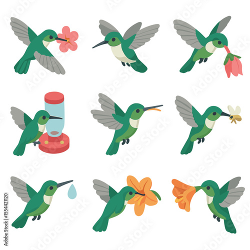 Hummingbird Feeding Icons. Isometric Flat icon set of hummingbird feeding behaviors: nectar sipping, hovering mid-air, flower