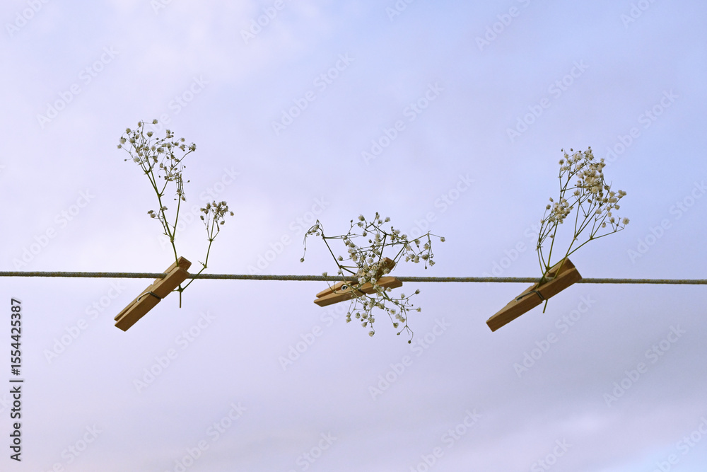 Obraz premium A minimalist and poetic still life featuring small sprigs of baby's breath (gypsophila) attached to a wire with simple wooden clothespins against a soft, blue sky background. This peaceful and artisti