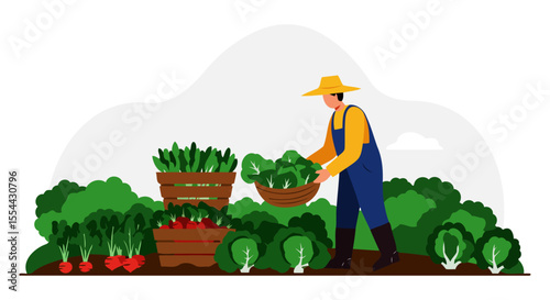 A Day of Harvesting Fresh Vegetables from the Farm