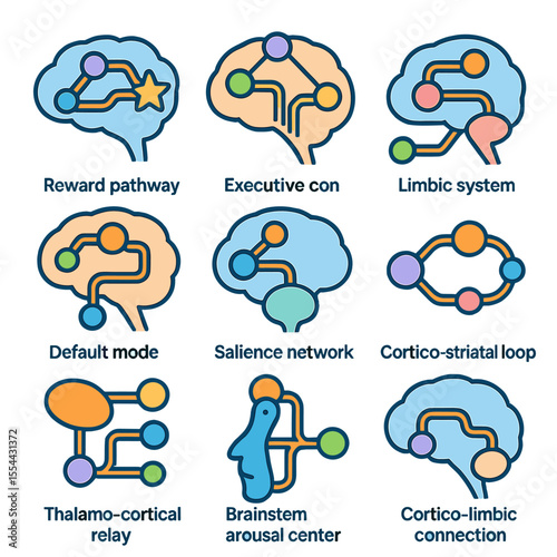 Neural Circuit Icon Grid. Isometric Flat icon set of decision-making neural circuits: reward pathway, executive control network,