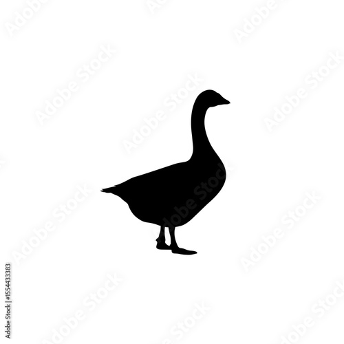 goose isolated on white background