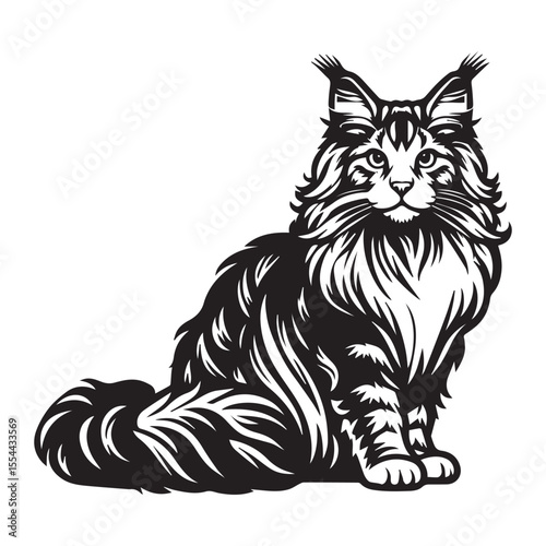 maine coon cat black silhouette vector with white background, Pet animal silhouette