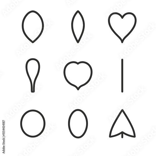 Petal Icon Grid. Outline icon set of Petal Shapes and Forms: ovate petal, lanceolate petal, obcordate petal, spatulate petal,
