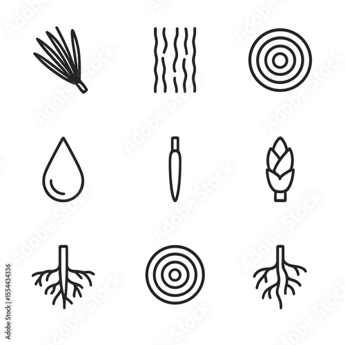 Pine Tree Anatomy Icons. Outline icon set of pine tree parts: needles cluster, bark texture, branch cross-section, resin drop,