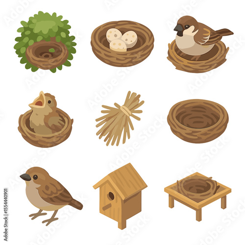 Sparrow Nesting Icons. Isometric Flat icon set of sparrow nesting and breeding: nest in shrub, eggs in nest, incubating sparrow,